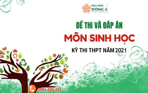 [Mới nhất] Đề thi và đáp án chính thức kỳ thi Tốt nghiệp THPT 2021 - Môn Sinh học
